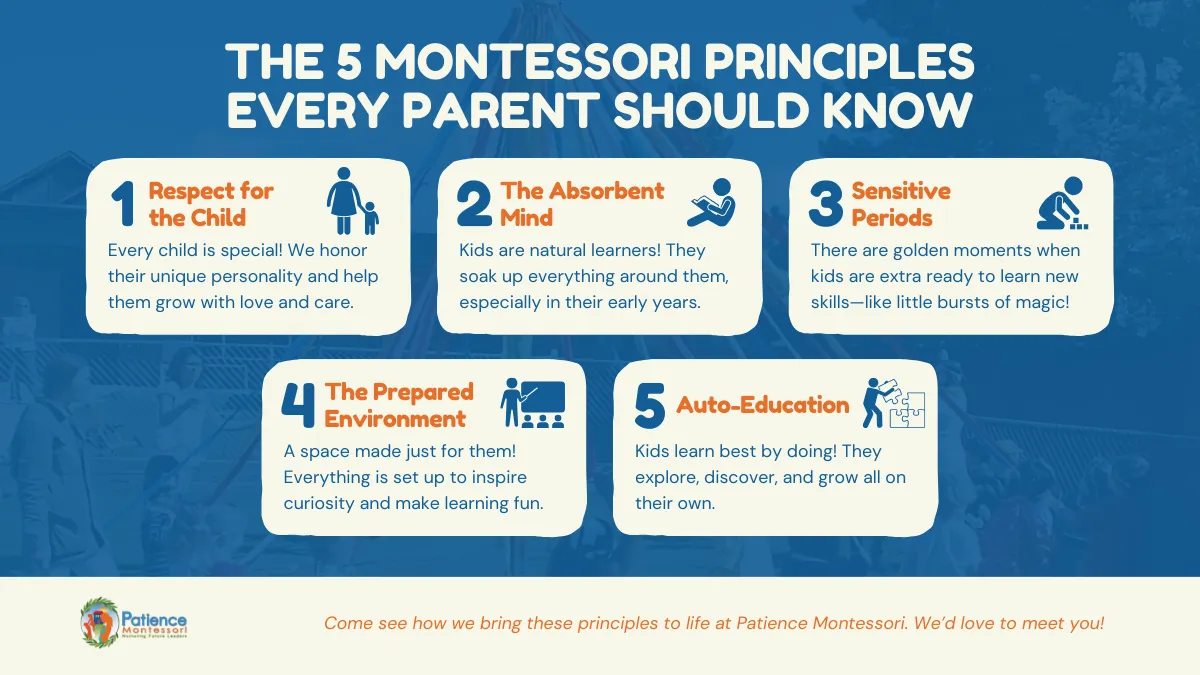 What Are the Five Principles of the Montessori Method?