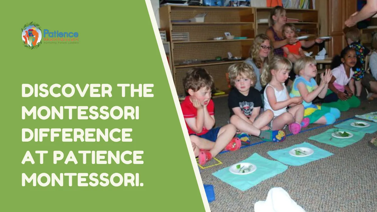 Patience Montessori: Guiding Your Child's Path to Discovery and Success 